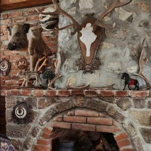 Meet your Posher, Boban